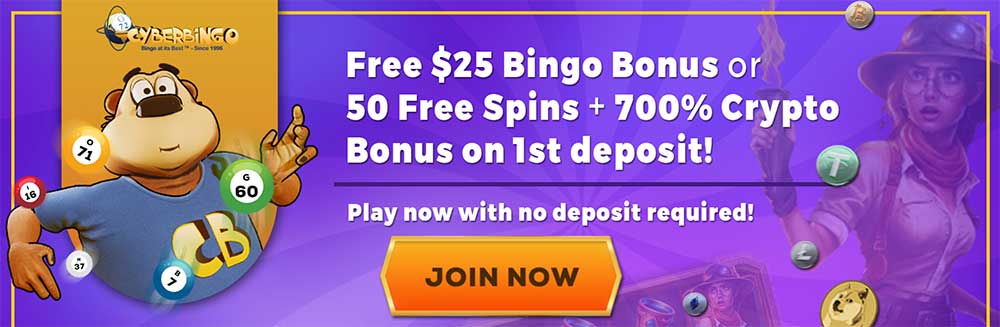 Cyber Bingo No Deposit Bonus Codes 